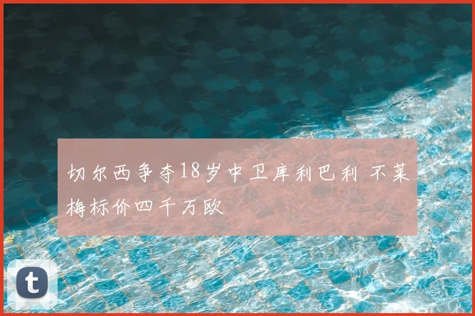 切尔西争夺18岁中卫库利巴利 不莱梅标价四千万欧